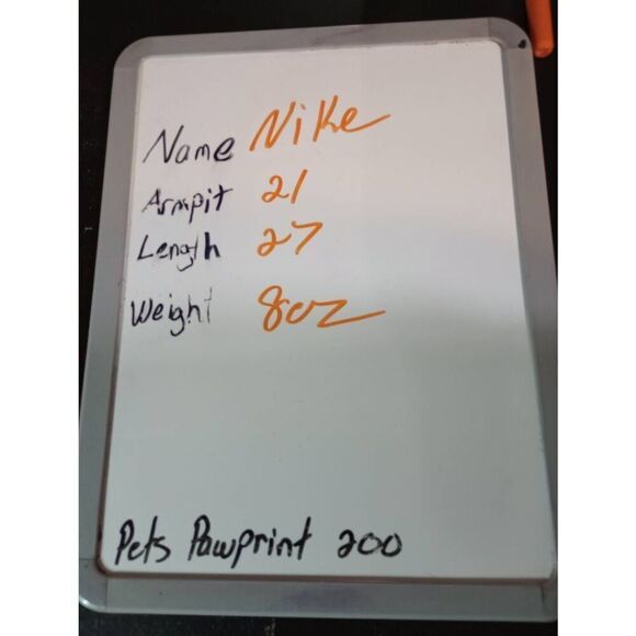 Nike Polo Men's Extra Large Blue Short‎ Sleeve Dri-Fit - Picture 7 of 7